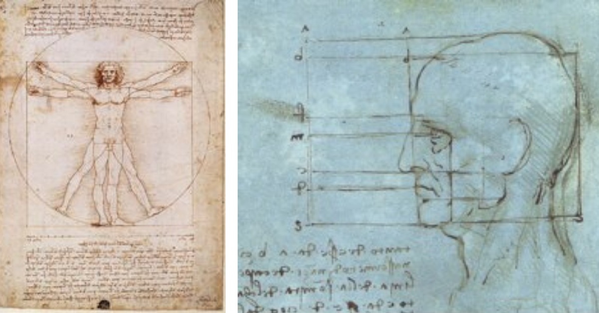 Leonardo DaVinci Vitruvian Man, What is the Golden Proportion? Smyli